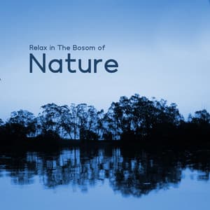 Relax in The Bosom of Nature: Soothing Music with Nature Sounds to Help You Sleep, Calm Anxiety and Eliminate Uncertainty - Nature Sounds Paradise