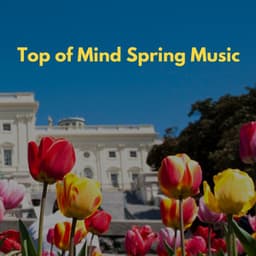 Top of Mind Spring Music - Jazz Rilassante Retro