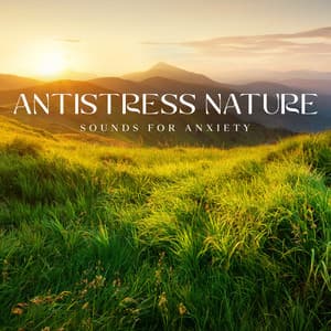 Antistress Nature: Sounds for Anxiety Relief, Detachment from Overthinking, Daily Relaxation Music - Hypnosis Nature Sounds Universe
