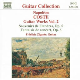 Coste: Guitar Works, Vol. 2 - Napoléon Coste