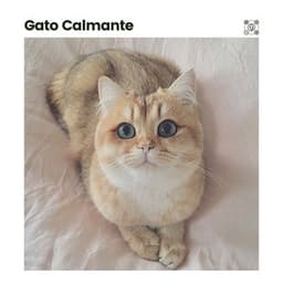 Gato Calmante - Musica para Gatos