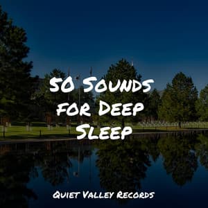 50 Sounds for Deep Sleep - Deep Horizon Waves