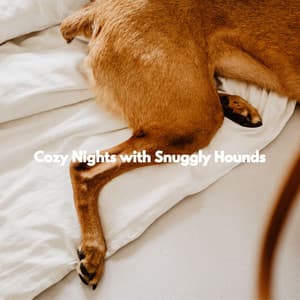 Cozy Nights with Snuggly Hounds - Dogs at Home