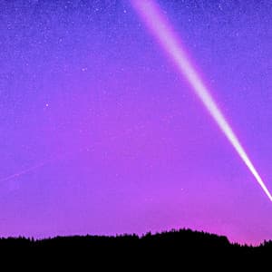 1 Ambient: Calling - Baltic Nature Sounds