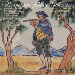 Neapolitan Flute Concertos, Vol. 1 - Carlo Ipata