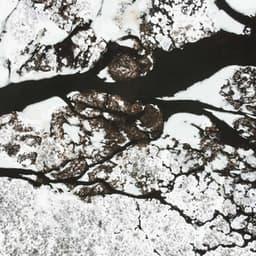 Feelings for Meditative Rhythm - Musica del lobby del Hotel