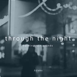 through the night - 33rain