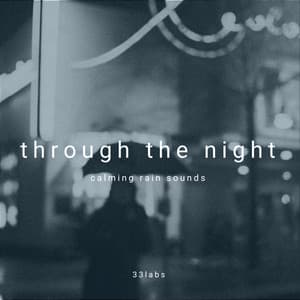 through the night - 33rain