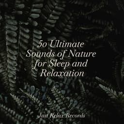 50 Ultimate Sounds of Nature for Sleep and Relaxation - Meditación