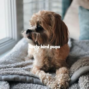 Early bird pups - Music for Dog's Ears