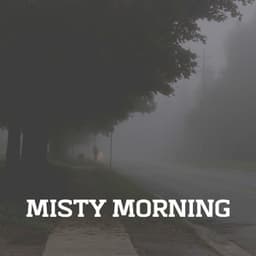 Misty Morning - Natsound