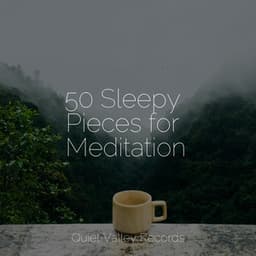 50 Sleepy Pieces for Meditation - Meditação Maestro
