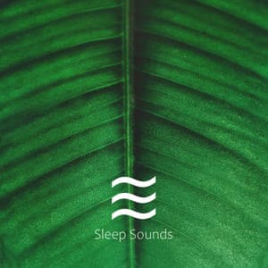 Natural Still Sounding Various Noises for Sleeping - Wave Sounds For Sleep