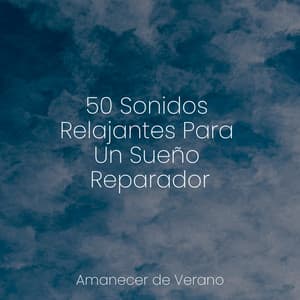 50 Sonidos Relajantes Para Un Sueño Reparador - Canción de Cuna