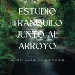 Estudio Tranquilo Junto Al Arroyo: Sonidos Binaurales Para El Aprendizaje - Latidos binaurales para estudiar