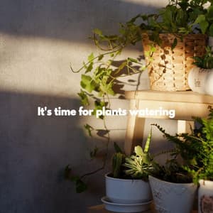 It's time for plants watering - Soft Jazz Radio
