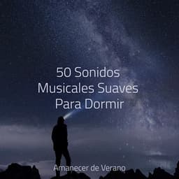 50 Sonidos Musicales Suaves Para Dormir - Relaxing Mindfulness Meditation Relaxation Maestro
