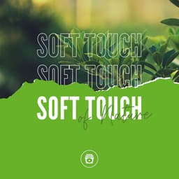 Soft Touch Of Nature - Rainforest Sounds