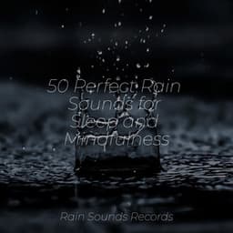 50 Perfect Rain Sounds for Sleep and Mindfulness - Lullabies for Deep Meditation