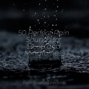 50 Perfect Rain Sounds for Sleep and Mindfulness - Lullabies for Deep Meditation