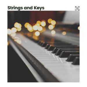 Strings and Keys - Piano Sleep