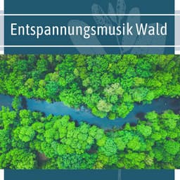 Entspannungsmusik Wald: Naturgeräusche zum Arbeiten - Healing Markrain