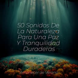 50 Sonidos De La Naturaleza Para Una Paz Y Tranquilidad Duraderas - Sleep Baby Sleep