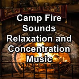 Camp Fire Sounds Relaxation and Concentration Music - Rain for Deep Sleep