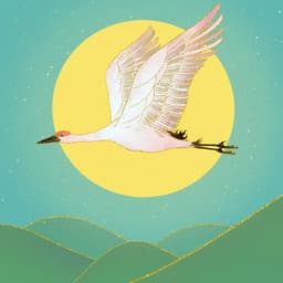 What Brings the Wind - The Bonsai