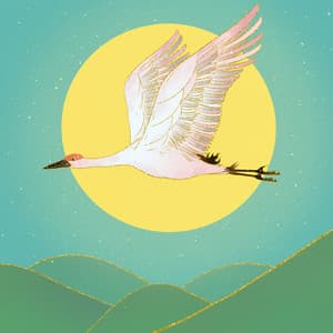 What Brings the Wind - The Bonsai