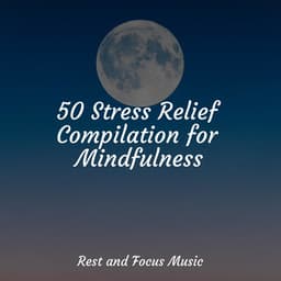 50 Stress Relief Compilation for Mindfulness - Yoga Namaste