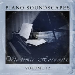 Piano SoundScapes, Vol. 12 - Vladimir Horowitz