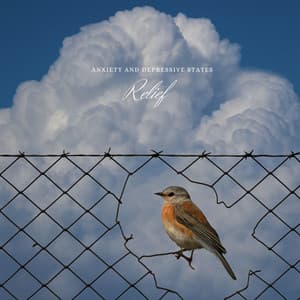 Anxiety and Depressive States Relief - Gary Winter