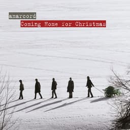 Coming Home for Christmas - Amarcord