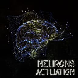 Neurons Actuation: Classical Piano Melodies for Studying & Better Knowledge Assimilation - Study Piano Music Ensemble