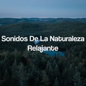 Sonidos De La Naturaleza Relajante - Deep Sleep