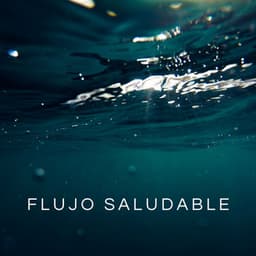 Flujo Saludable - Relajación Con Música En El Balneario
