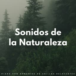 Sonidos De La Naturaleza: Piano Con Armonías De Grillos Relajantes - Radio Naturaleza 1
