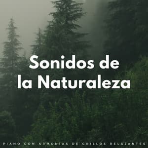 Sonidos De La Naturaleza: Piano Con Armonías De Grillos Relajantes - Radio Naturaleza 1