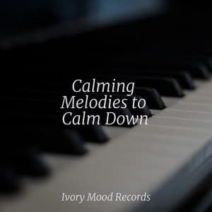 Calming Melodies to Calm Down - Ivory Mood