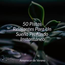 50 Pistas Relajantes Para Un Sueño Profundo Instantáneo - Yoga Sounds