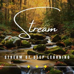 Tranquil Stream Study: Binaural Sounds for Learning - Classical Music For Studying