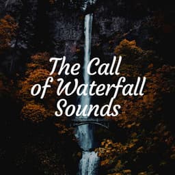 The Call of Waterfall Sounds - Outdoor Field Recorders