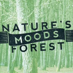 Nature's Moods: Forest - Nature's Mystic Moods