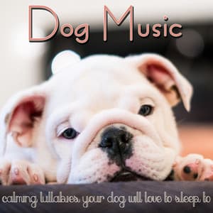 Dog Music: Calming Lullabies Your Dog Will Love to Sleep To - Relaxmydog