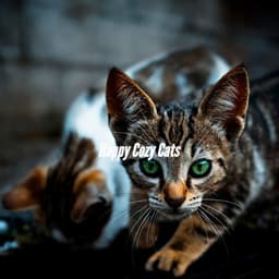 Happy Cozy Cats - Smooth Jazz New York