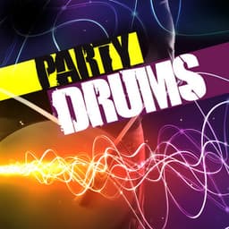Party Drums - Ricky Kej