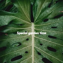 Special garden time - Classy Piano Jazz Background