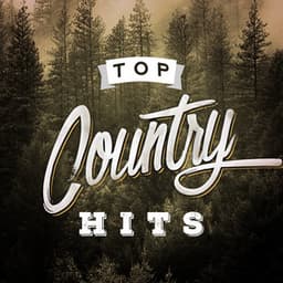 Top Country Hits - American Country Hits