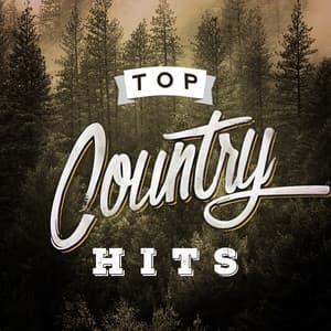 Top Country Hits - American Country Hits